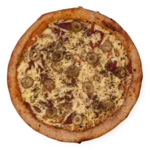 ogro vegano -pizza - parma