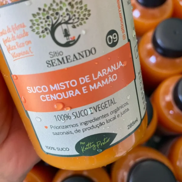 sitio semeando - suco 07 - suco laranja - mamão